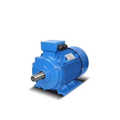 Moteurs électriques en fonte 4kW - 315kW