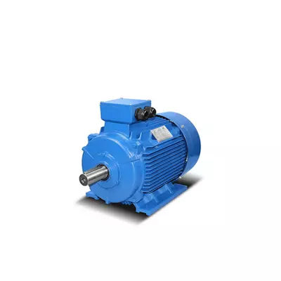 Moteurs électriques en fonte 4kW - 500kW