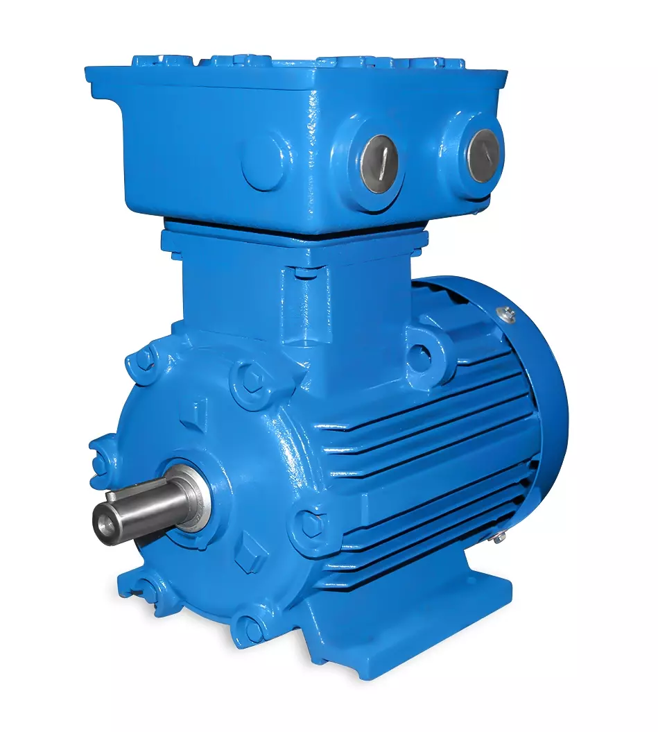 ATEX- Moteur électrique 100L 3.0 kW 2pol-B3
