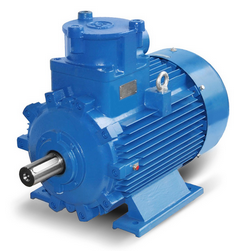 Atex-Motoren 